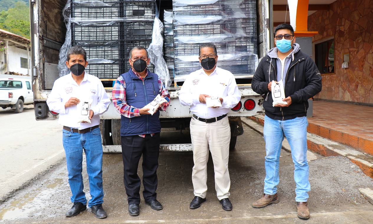 H. Ayuntamiento Zihuateutla 20182021